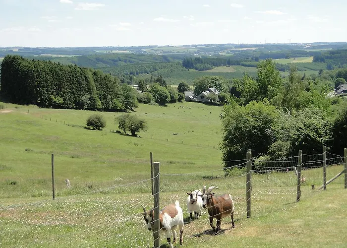 A Pas De Loup Сasa de vacaciones La-Roche-en-Ardenne